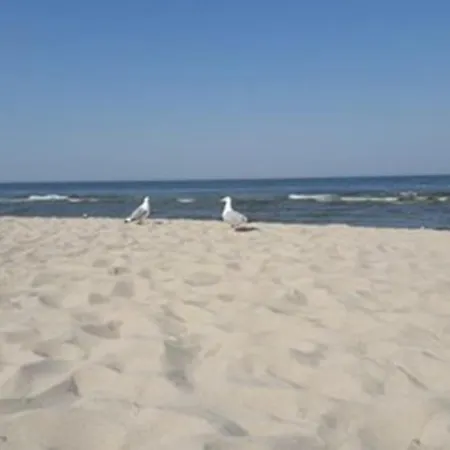 Ralf בית נופש צינוביץ